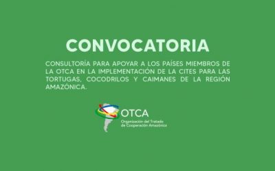 Convocatoria para contratar un Consultor para apoyar a los Países miembros de la OTCA en la implementación de la CITES para las tortugas, cocodrilos y caimanes de la Región Amazónica.