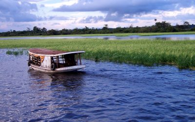 Programa Amazonía+ de la UE y la OTCA firman Carta de Intención para la protección de la Amazonía