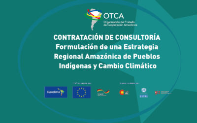 Convocatoria: Consultoría para desarrolla una Estrategia Regional Amazónica de Pueblos Indígenas y Cambio Climático