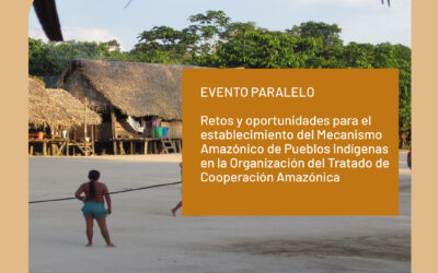 La OTCA aborda los retos y oportunidades del Mecanismo Amazónico de los Pueblos Indígenas, en el seno de las Naciones Unidas