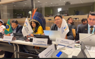La OTCA impulsa el diálogo sobre el Mecanismo Amazónico de Pueblos Indígenas en el marco del UNPFII