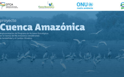 Para celebrar el 46º aniversario del Tratado de Cooperación Amazónica, la OTCA lanza la nueva página web del Proyecto Cuenca Amazónica
