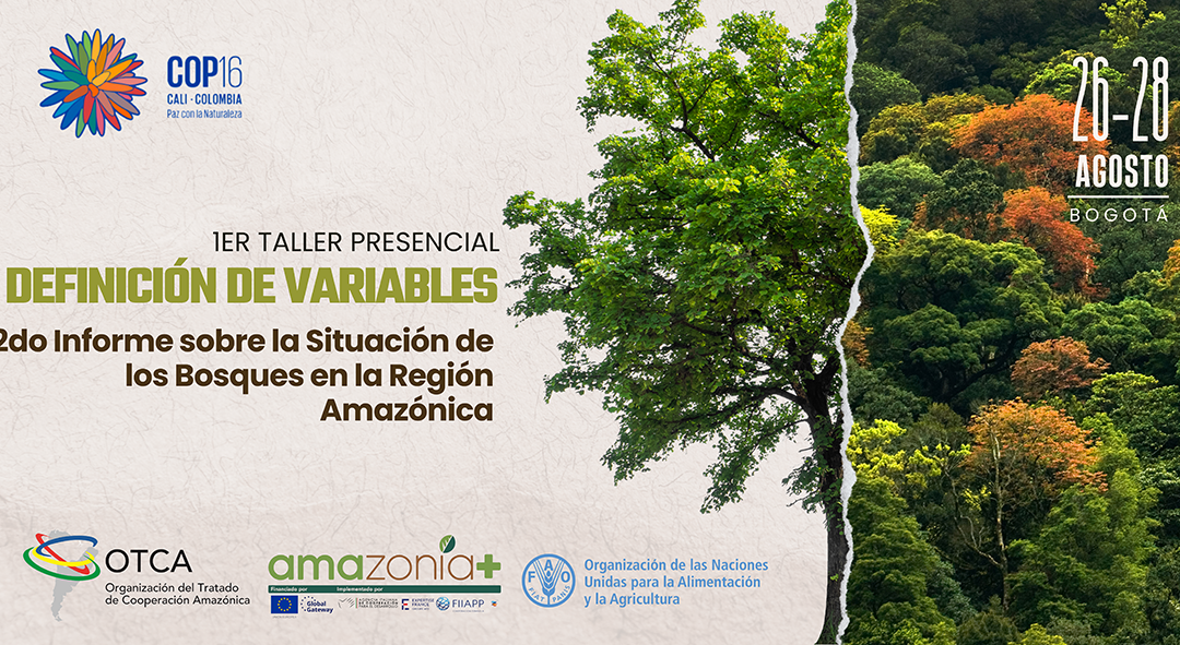 Primer Taller Presencial para la Definición de Variables del Segundo Informe Regional sobre la Situación de los Bosques en la Región Amazónica