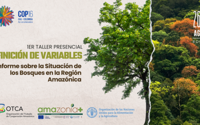 Primer Taller Presencial para la Definición de Variables del Segundo Informe Regional sobre la Situación de los Bosques en la Región Amazónica