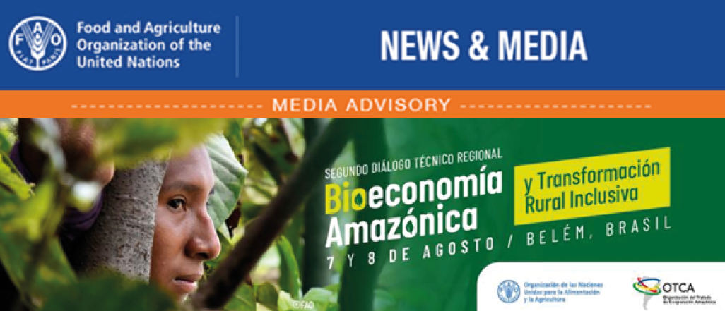 FAO y OTCA realizan el Segundo Diálogo Regional sobre Bioeconomía Amazónica y Transformación Rural Inclusiva