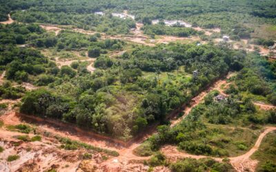 Ibama y OTCA realizan misión técnica internacional para combatir la deforestación en la Amazonía