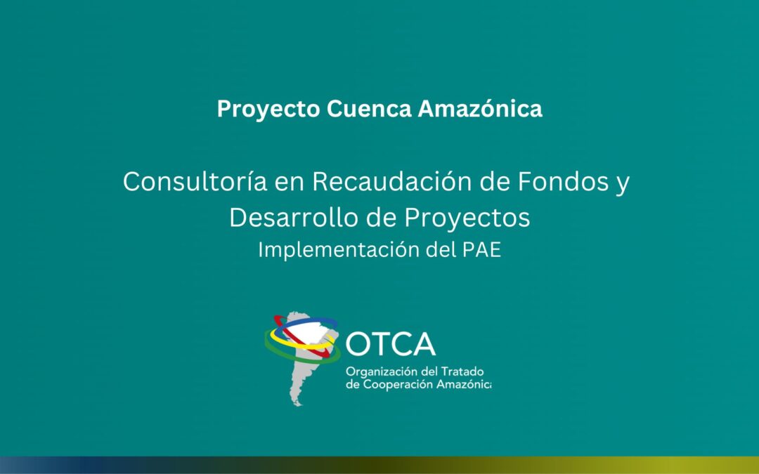 Convocatoria abierta: consultoría en desarrollo de proyectos y financiamiento para el PAE