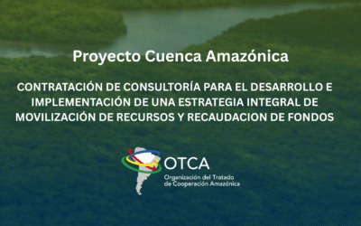 Consultoría para la Estrategia de Levantamiento de Fondos y Socios