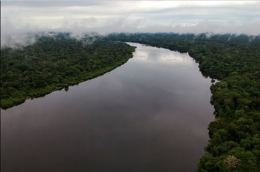 Colombia se prepara para la V Cumbre de Presidentes del Amazonas, a desarrollarse en agosto de este año