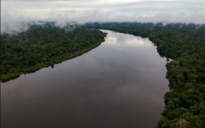 Colombia se prepara para la V Cumbre de Presidentes del Amazonas, a desarrollarse en agosto de este año