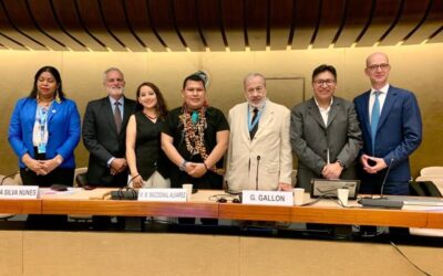 OTCA reafirma en Ginebra el avance del Mecanismo Amazónico de los Pueblos Indígenas como propuesta regional de gobernanza inclusiva