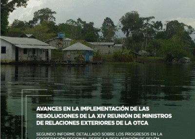Avances en la implementación de las resoluciones de la XIV Reunión de Ministros de Relaciones Exteriores de la OTCA