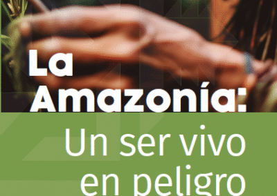 La amazonía: un ser vivo en peligro (cuadriptico)
