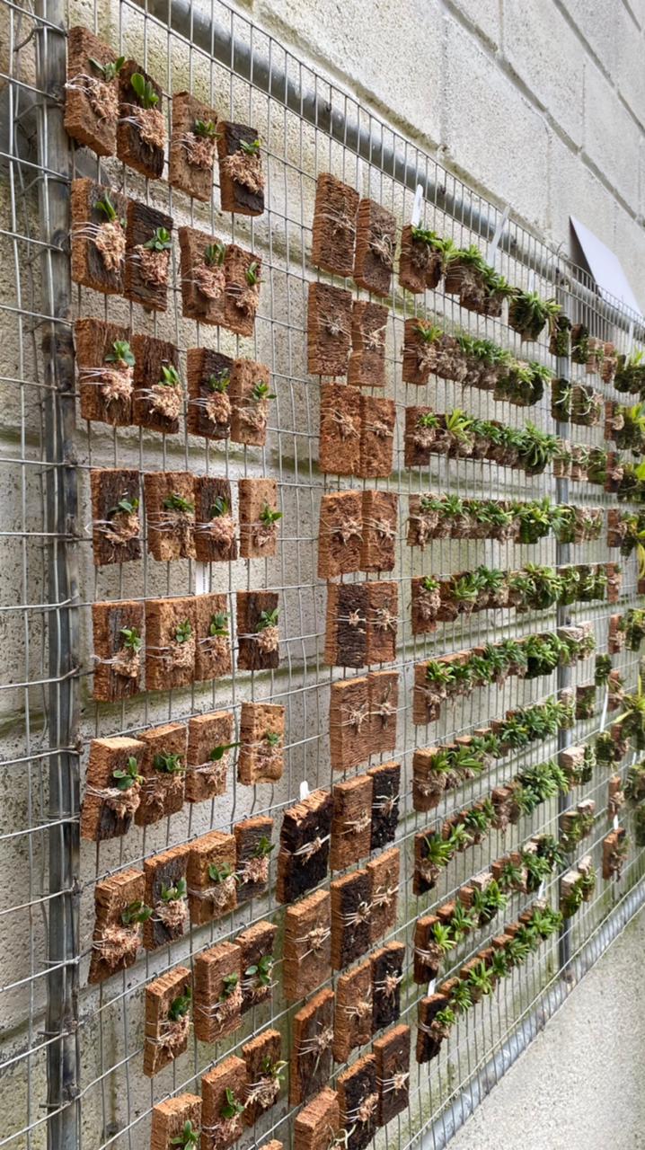 WhatsApp-Image-2022-04-28-at-08.00.46