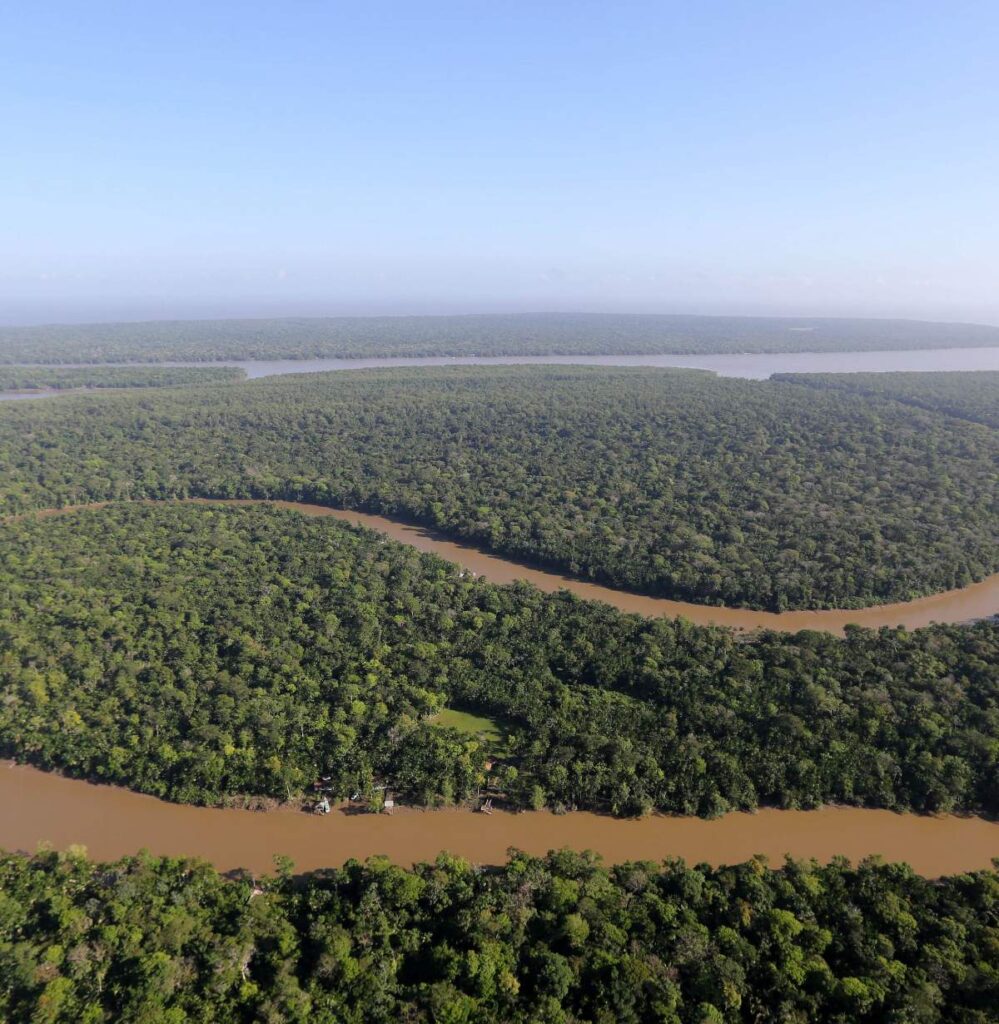 rios-floresta-foto-aerea