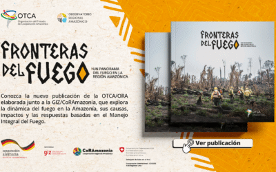 OTCA lanzará nuevo libro con un panorama integral sobre el fuego en la región amazónica
