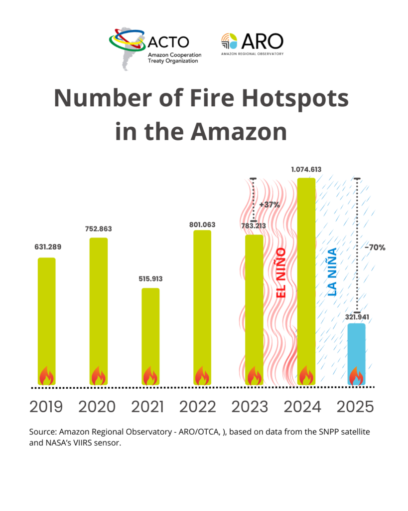 number of fire hotspot in the Amazon